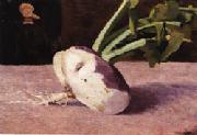 Odilon Redon Celery Root china oil painting artist